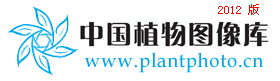 Ppbc中国植物图像库 最大的植物分类图片库